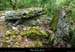 20170506_dolmenchabanet07