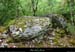 20170506_dolmenchabanet08