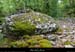 20170506_dolmenchabanet09