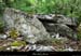 20170506_dolmenchabanet10