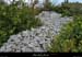 20170506_dolmenflandrin1