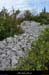 20170506_dolmenflandrin3