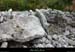 20170506_dolmenflandrinnord3