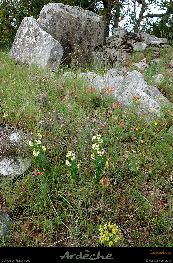 20170506_dolmenflandrinsud5