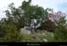 20170506_dolmenflandrinsud1