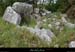 20170506_dolmenflandrinsud4