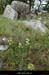 20170506_dolmenflandrinsud5