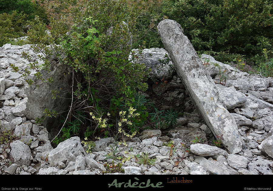 20170506_dolmengrangeauxperes3