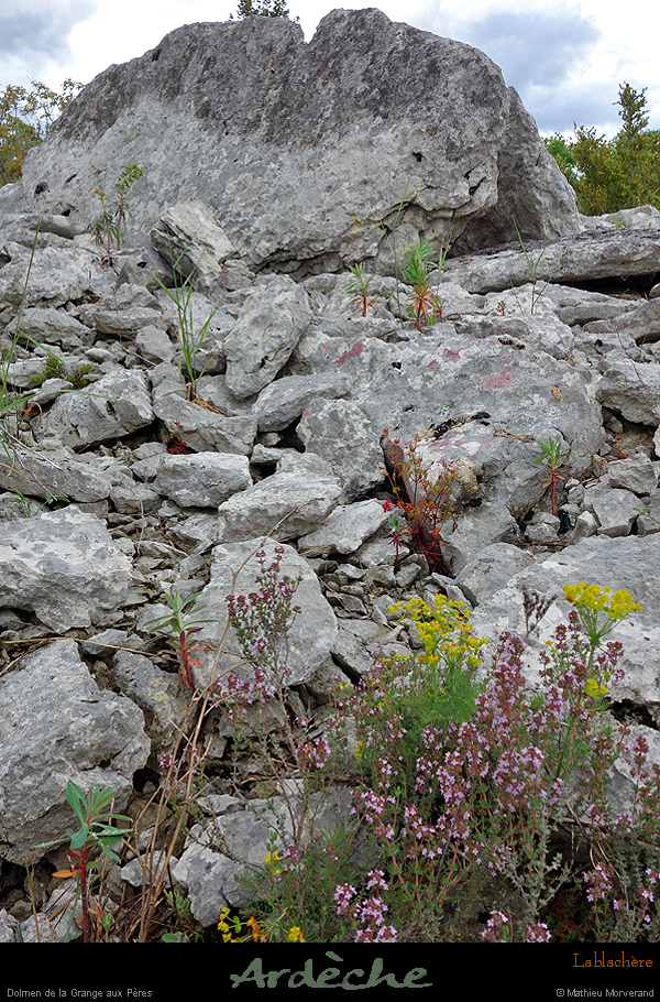 20170506_dolmengrangeauxperes8