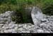 20170506_dolmengrangeauxperes2