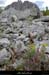 20170506_dolmengrangeauxperes8