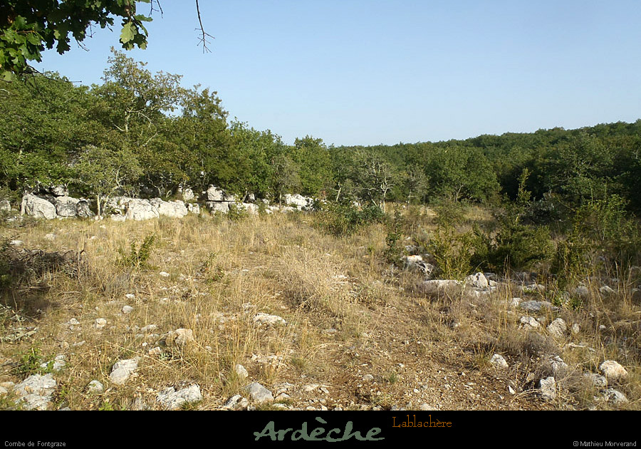 20120819_lablachere_combedefontgraze1