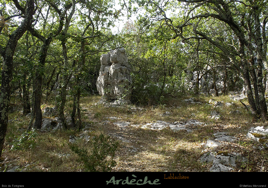 20120820_lablachere_boisdefontgraze2