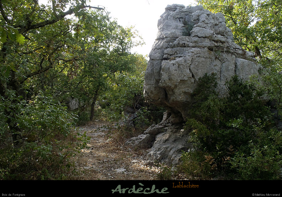 20120820_lablachere_boisdefontgraze4