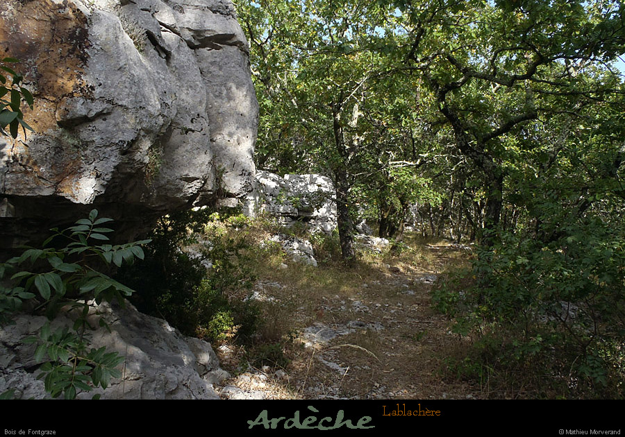 20120820_lablachere_boisdefontgraze5