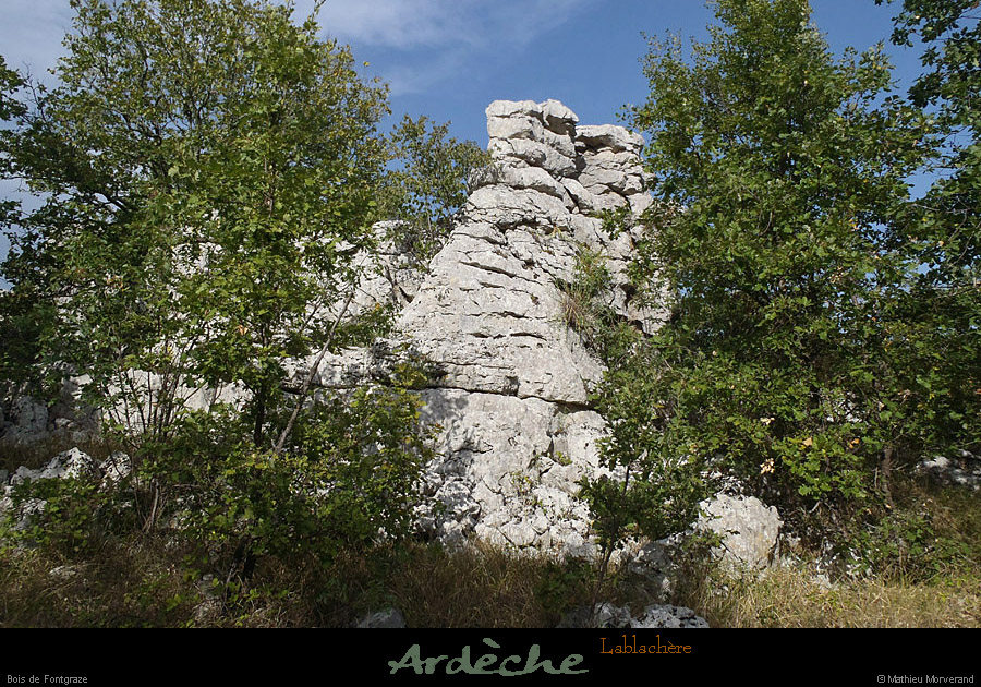 20120820_lablachere_boisdefontgraze6