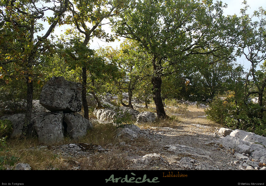 20120820_lablachere_boisdefontgraze7