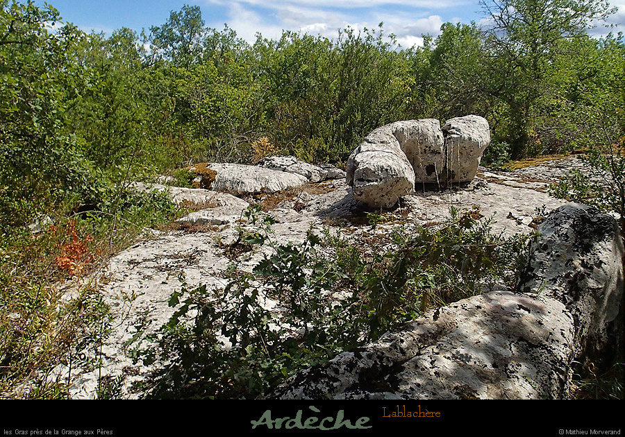 20150814_p8145770