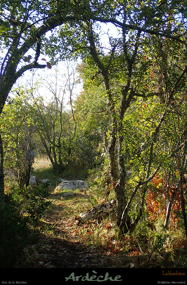 20161002_boisdelablachere1