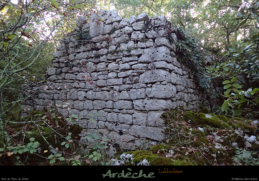 20161002_boisdurancduboeuf_ruine