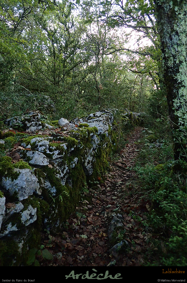 20161002_sentierduranduboeuf1