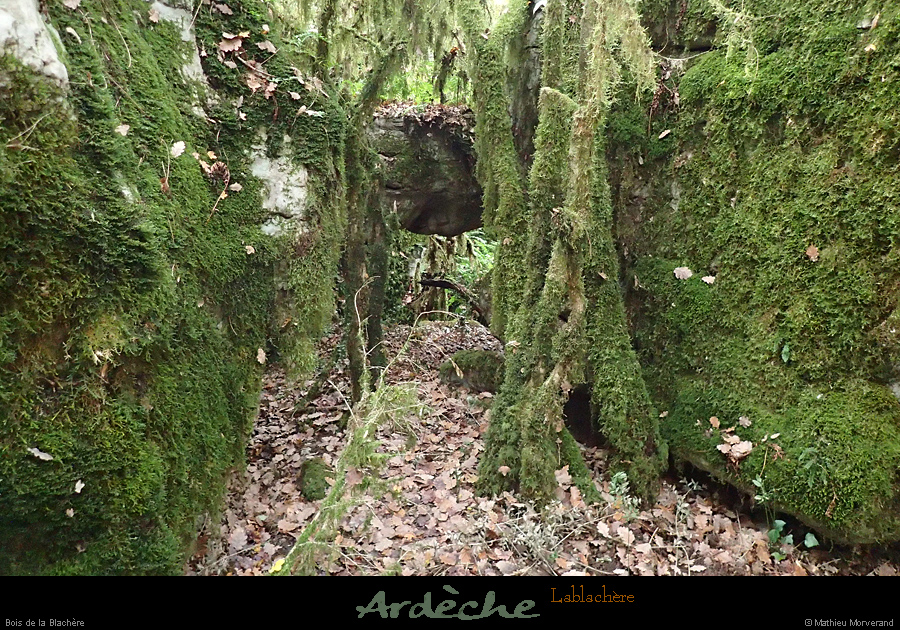 20161113_boisblachere5