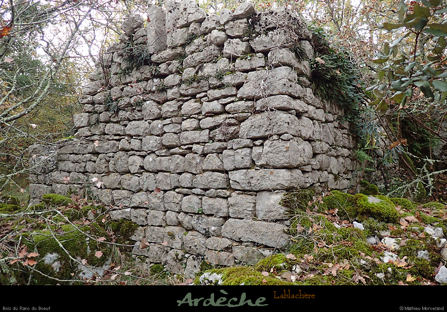 20161113_boisrancduboeuf