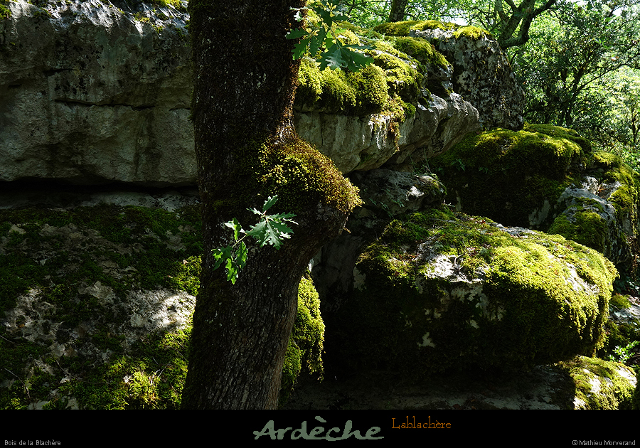 20180508_boisblachere02