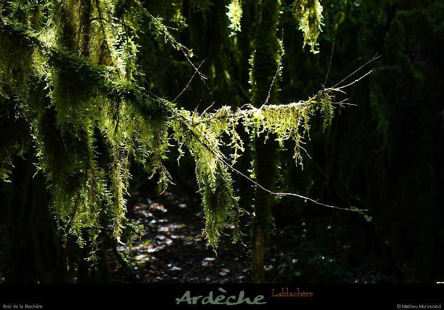 20180508_boisblachere04