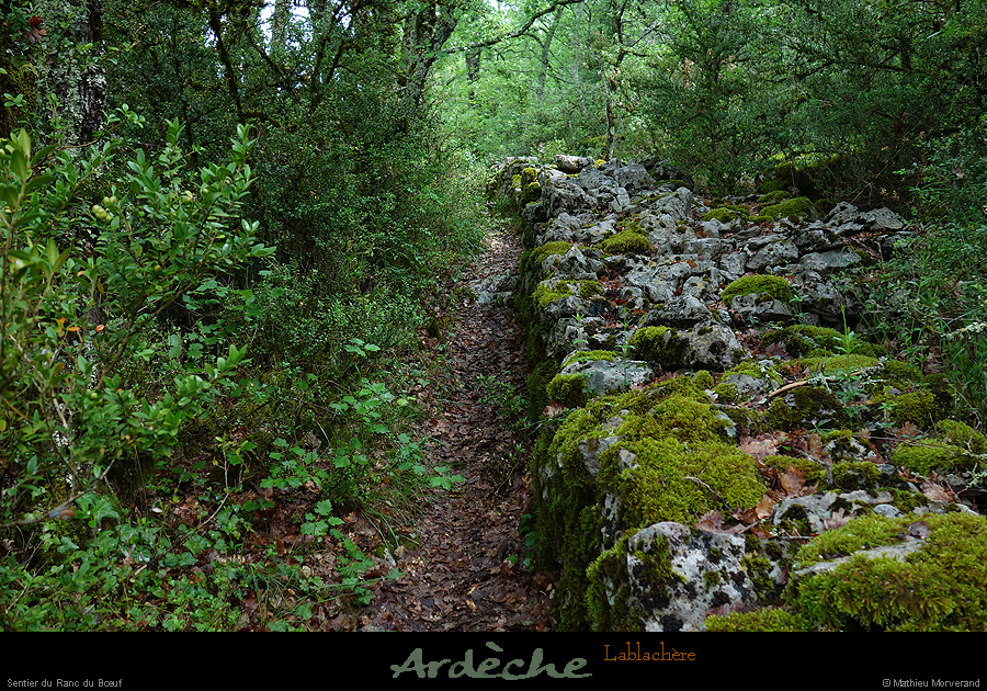 20180508_boisblachere07