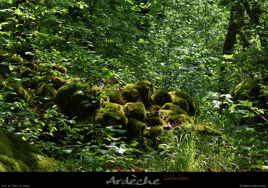 20180508_boisblachere08