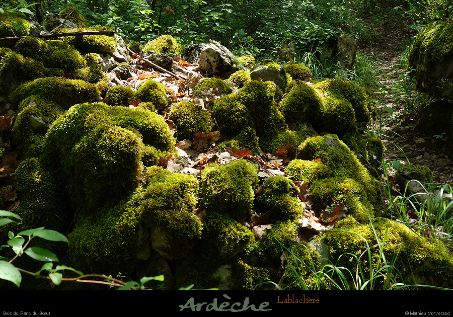 20180508_boisblachere09