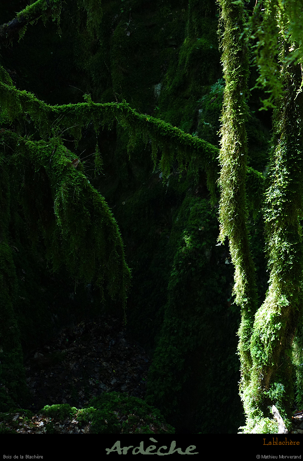 20180508_boisblachere11