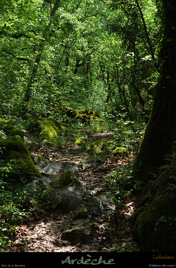 20180508_boisblachere13