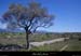 20100523_lablachere_serredemontredon4