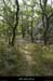 20120820_lablachere_boisdefontgraze3