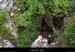 20150525_grasdelablachere_pollution
