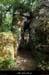 20150525_lablachere_archedurancduboeuf1