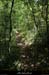 20150525_lablachere_boisdurancduboeuf2
