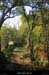 20161002_boisdelablachere1