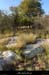 20161002_boisdelablachere2