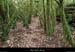 20161113_boisblachere3