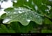 20170506_boisfontgraze2