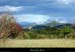20170506_gradsflandrin