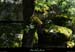 20180508_boisblachere02