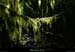 20180508_boisblachere04