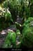 20180508_boisblachere10