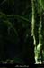 20180508_boisblachere11