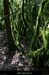 20180508_boisblachere12