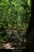 20180508_boisblachere13